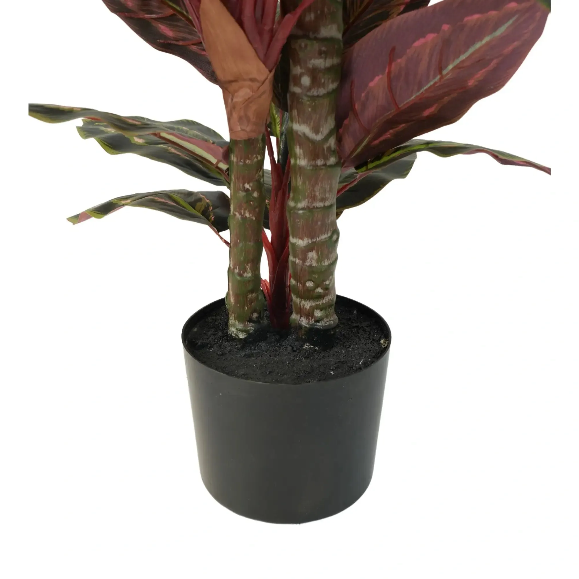 Artificial Wide Leaf Cordyline Plant 90cm