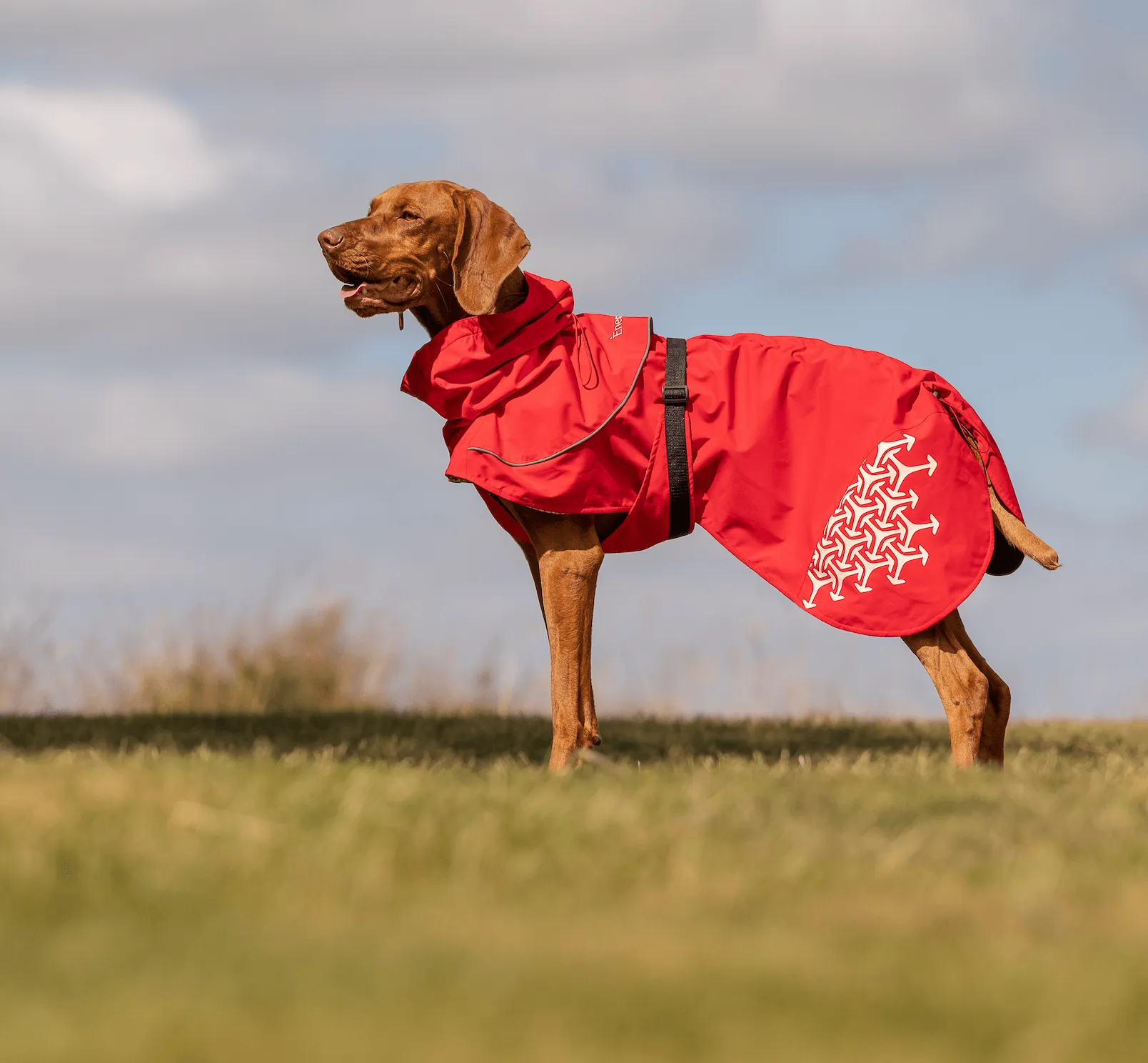 iEnergy LUN Water-Resistant Jacket