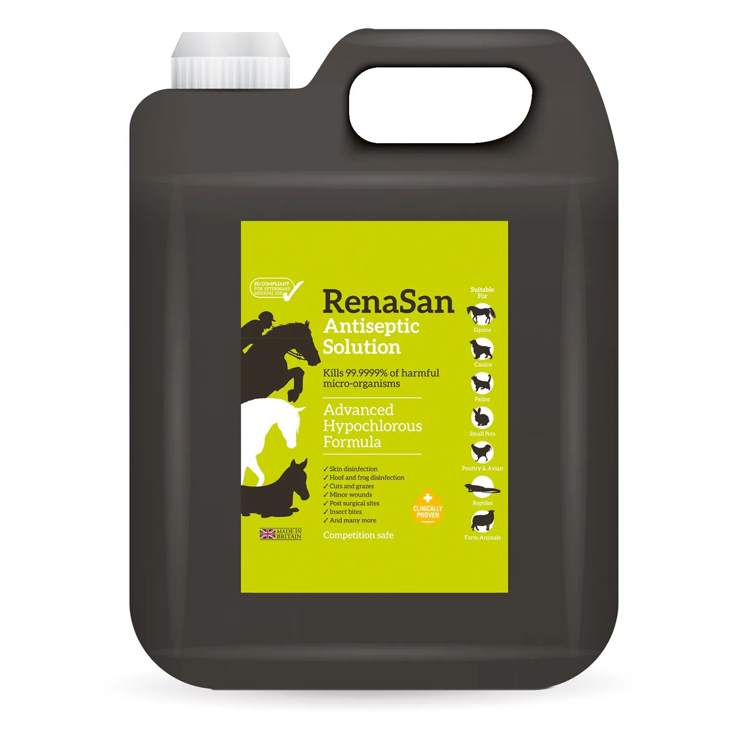 RenaSan Antiseptic Solution - 5 Lt