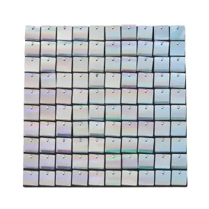 Spangle Shimmer Sequin Wall Panel Backdrops (24 panels) - Iridescent Silver